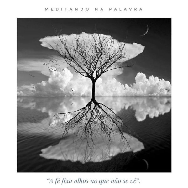 Árvore da Vida